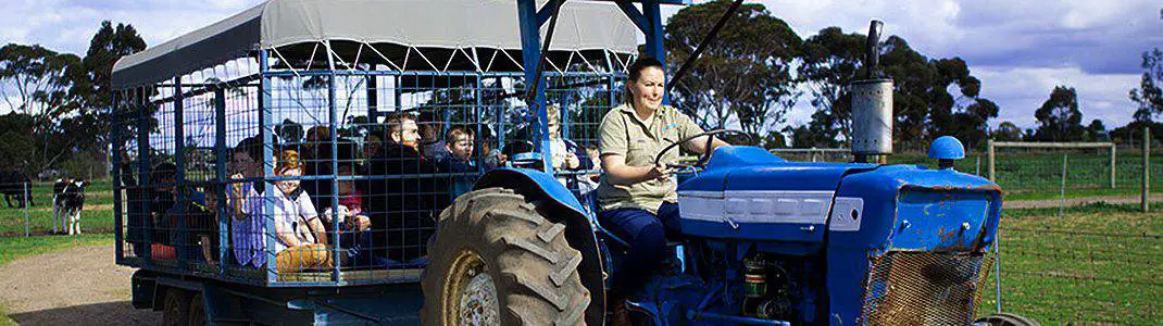 Animal Land Children’s Farm - Diggers Rest, VIC