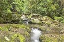 Dandenong Ranges