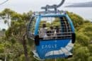 Arthurs Seat Eagle