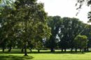 Edinburgh Gardens