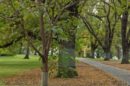 Flagstaff Gardens